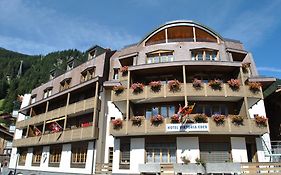 Hotel Viktoria Eden